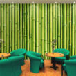 Bambuszfal selyem tapéta