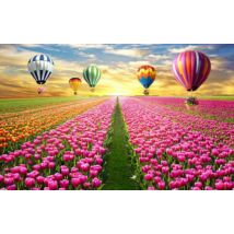 Hőlégballonok a tulipánmező fölött