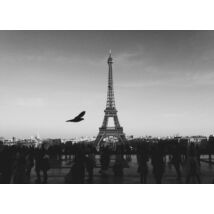 Az Eiffel torony feketén fehéren